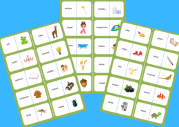 Domino – ORTOGRAFIA – wyrazy z "ż"