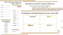 Rzeczownik - karty pracy (stacje zadaniowe)