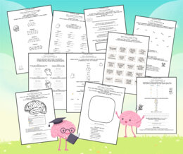 TRENING SŁÓW I ZMYSŁÓW 50 kart pracy dla uczniów z dysleksją i dysortografią