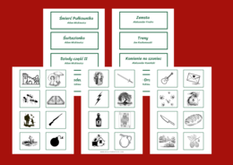 LEKTUROWE IKONKI - lektury z kl.7-8 - IKONKI - fiszki - 112 szt.- grafika - symbole - powtórka - egzamin