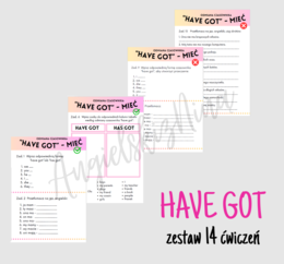 Have got - odmiana czasownika "mieć" - proste ćwiczenia dla początkujących - zestaw 14 ćwiczeń - karta pracy - A2