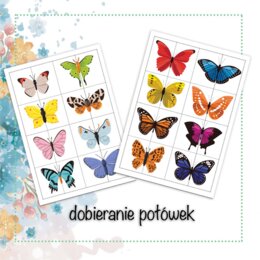 Wyszukiwanie i dobieranie połówek motyli