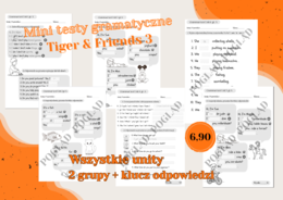 Mini testy gramatyczne Tiger & Friends  3 wszystkie unity