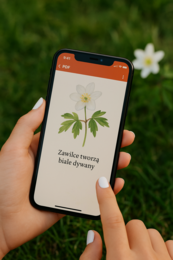 Pierwsze oznaki wiosny