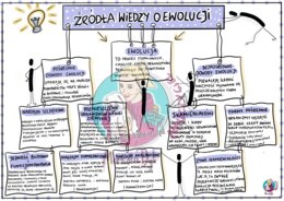 Ewolucja - Źródła wiedzy - klasa 8,  wklejka do zeszytu
