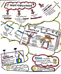 Klasa 6. Biologia. Parzydełkowce (karta pracy kolorowa)