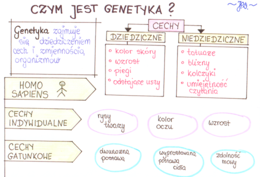 Czym jest genetyka? (sketchnotka)