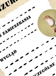 Karta pracy do utworu Juliana Tuwima ,,Spóźniony słowik"