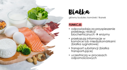 Układ pokarmowy 3 KLASA ROZSZERZONA BIOLOGIA