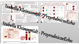 Sketchnotka - notatka „Budowa i funkcje krwi” wykonana w power point do edycji. Biologia 7; „Układ krążenia”