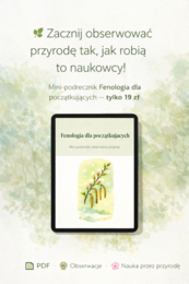 Mini-podręcznik „Fenologia dla początkujących”