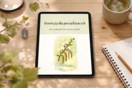 Mini-podręcznik „Fenologia dla początkujących”