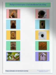 Kolorowa zima – zestaw kart pracy