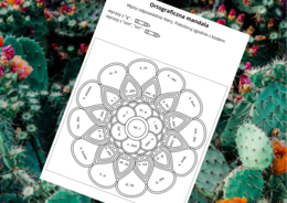 ORTOGRAFICZNA mandala – wyrazy z Ą - ON - OM – ortografia