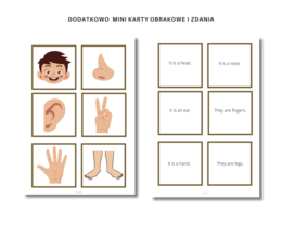 Karta Pracy, Części ciała, Body Parts, Liczba mnoga i Zaimki He/ She oraz zworty has got/ hasn't got/ Has ... got ?