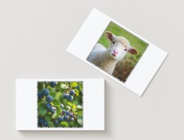 Puzzle łańcucha pokarmowego