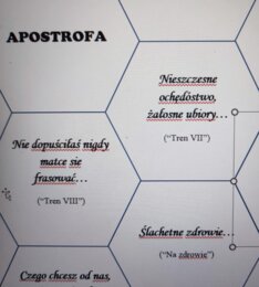 Narodowe czytanie w plastrach miodu zamknięte