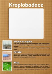 Projekt/ Innowacja własna "EDUKACJA w ruchu i relacji"- przedszkole i kl. 1-3