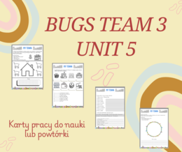 Bugs team 3 unit 5 - powtórka materiału.