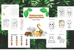 Zwierzęta egzotyczne