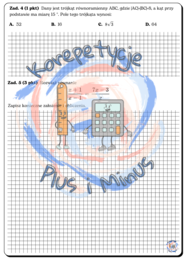 Mini arkusz maturalny