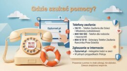 Dzień Bezpiecznego Internetu – gazetka szkolna / prezentacja (18 plansz)