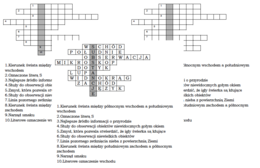 Logogryf dla klasy 4 na wprowadzenie do lekcji przyrody o substancjach