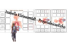 Notatka okienkowa „Budowa układu oddechowego”. Przyroda 4 / Biologia 7. „Układ oddechowy”, „Układ oddechowy zapewnia wymianę gazową”