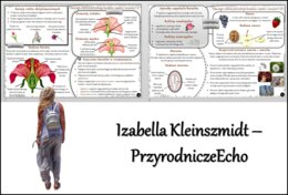 Sketchnotka/notatka/streszczenie/wklejka/ściąga dla ucznia i nauczyciela. Temat „Dlaczego roślina potrzebuje kwiatów, nasion i owoców?” w pdf. Biologia 5 dział „Tkanki i organy roślinne”. Wykonana na podstawie podręcznika z wydawnictwa WSiP.