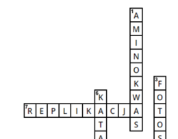 Krzyżówka- chemizm życia