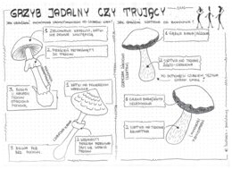 Jak odróżnić grzyb jadalny od trującego? - klasa 5