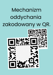 Mechanizm oddychania