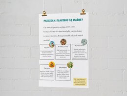 Infografiki edukacyjne. Zasady segregacji odpadów. Obieg wody w przyrodzie. Dlaczego pszczoły są ważne?