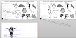 Kompletny zestaw na jedną lekcję „Wyznaczanie kierunku północnego przy pomocy przyrody - zajęcia w terenie” – sketchnotka + karty pracy w power point + gratisowy link do prezentacji multimedialnej niekomercyjnej + gratisowy link do lekcji multimedialnej 