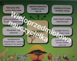 MAPY MYŚLI - GEOGRAFIA - KLASA 5 - 28 TEMATÓW - 56 STRON