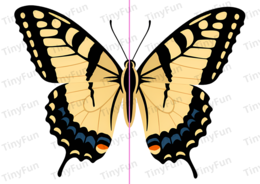 Kolorowe motyle 🦋 łączenie połówek | wiosenna zabawa,  PDF do druku