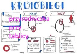 Klasa 7. Biologia. Krwiobiegi