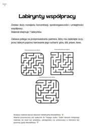 Labirynty współpracy