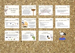 Dzień Bociana Białego - gazetka