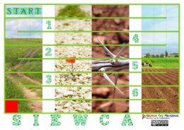 Siewca – Gra planszowa