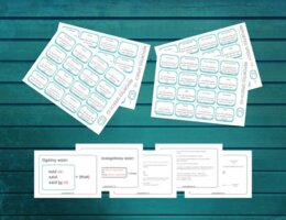 REPORTED SPEECH 02 - said vs told