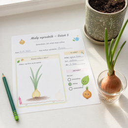 Mały ogrodnik - karta obserwacji cebulki
