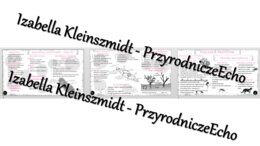 Sketchnotka - notatka „Różnorodność protistów” wykonana w power point do edycji. Biologia 5; „Wirusy, bakterie, protisty i grzyby”