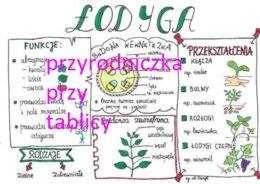 Klasa 5. Biologia. Łodyga