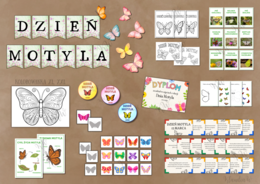 Dzień Motyla - zestaw