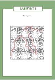 LABIRYNTY Z DINOZAURAMI- 5 LABIRYNTÓW