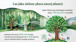 Las, Dzień Lasu, ekosystem leśny - prezentacja, plansze, gazetka