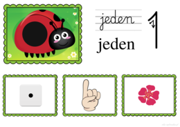 Biedronkowy zawrót głowy