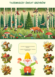 Plansze edukacyjne o grzybach i roślinach