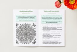 Karty do kolorowania z motywami przyrodniczymi (zwierzęta, rośliny, krajobrazy).